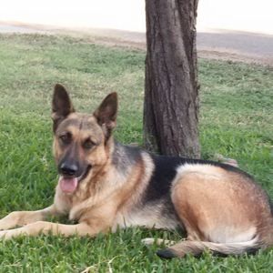 Meet your Posher, Maryann